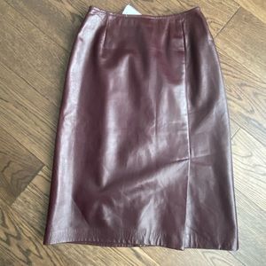 Danier Leather Penicl Skirt